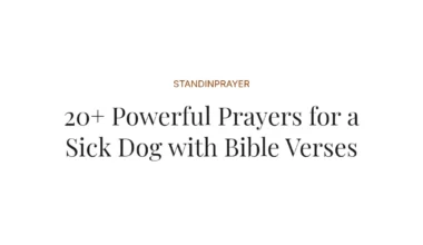 20+ Powerful Prayers for a Sick Dog with Bible Verses