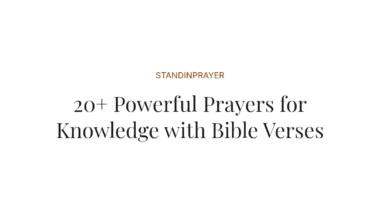 20+ Powerful Prayers for Knowledge with Bible Verses