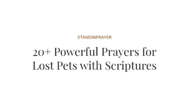 20+ Powerful Prayers for Lost Pets with Scriptures