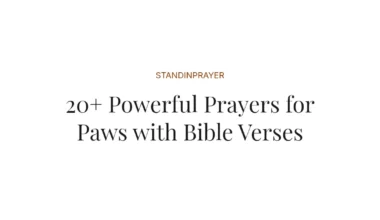 20+ Powerful Prayers for Paws with Bible Verses