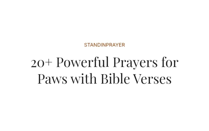 20+ Powerful Prayers for Paws with Bible Verses