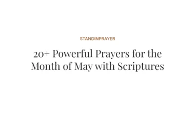 20+ Powerful Prayers for the Month of May with Scriptures