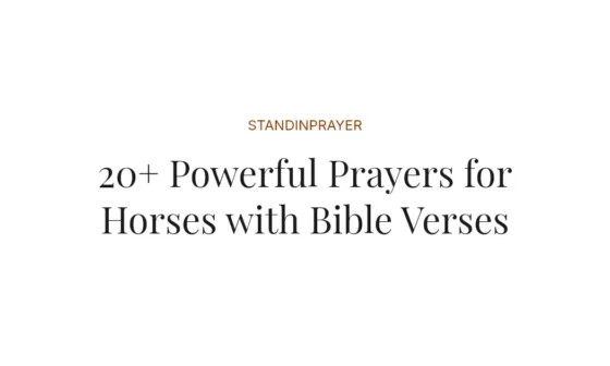 20+ Powerful Prayers for Horses with Bible Verses