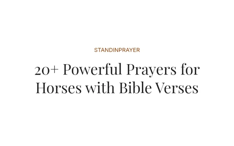 20+ Powerful Prayers for Horses with Bible Verses