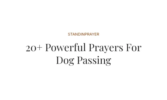 20+ Powerful Prayers For Dog Passing