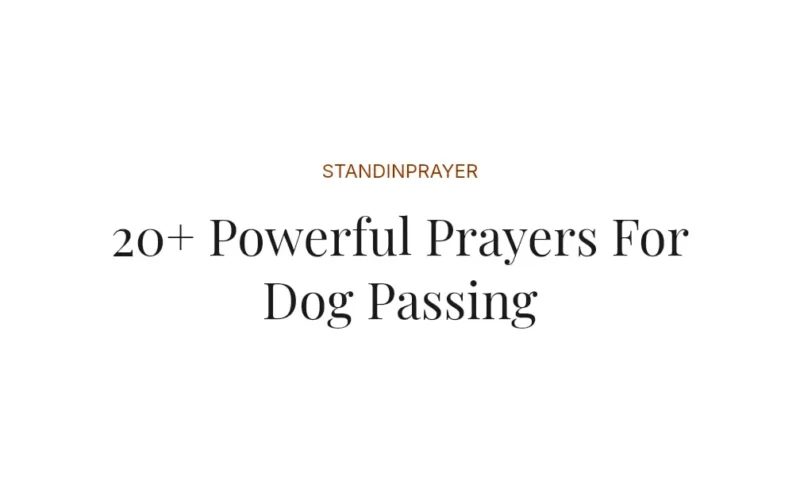 20+ Powerful Prayers For Dog Passing