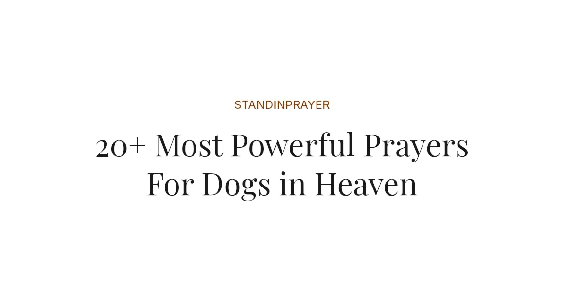 20+ Most Powerful Prayers For Dogs in Heaven