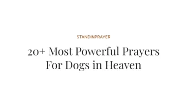 20+ Most Powerful Prayers For Dogs in Heaven