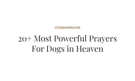20+ Most Powerful Prayers For Dogs in Heaven