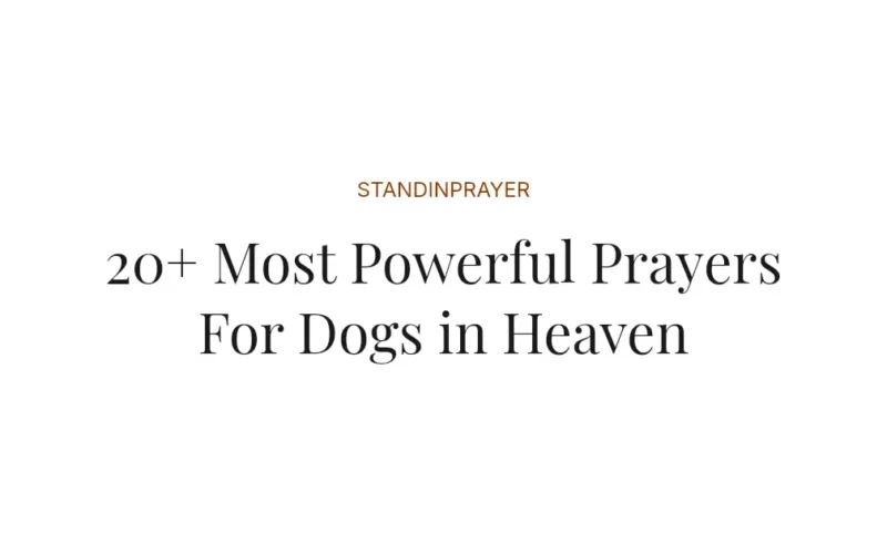 20+ Most Powerful Prayers For Dogs in Heaven