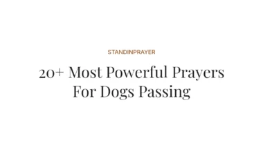 20+ Most Powerful Prayers For Dogs Passing