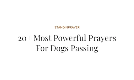 20+ Most Powerful Prayers For Dogs Passing