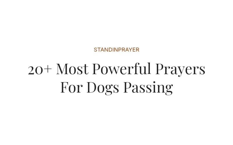20+ Most Powerful Prayers For Dogs Passing