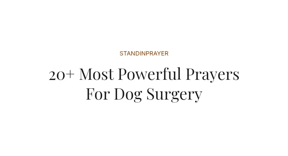 20+ Most Powerful Prayers For Dog Surgery