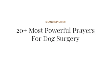 20+ Most Powerful Prayers For Dog Surgery