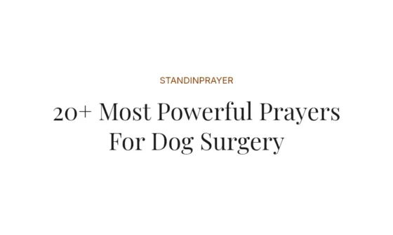 20+ Most Powerful Prayers For Dog Surgery