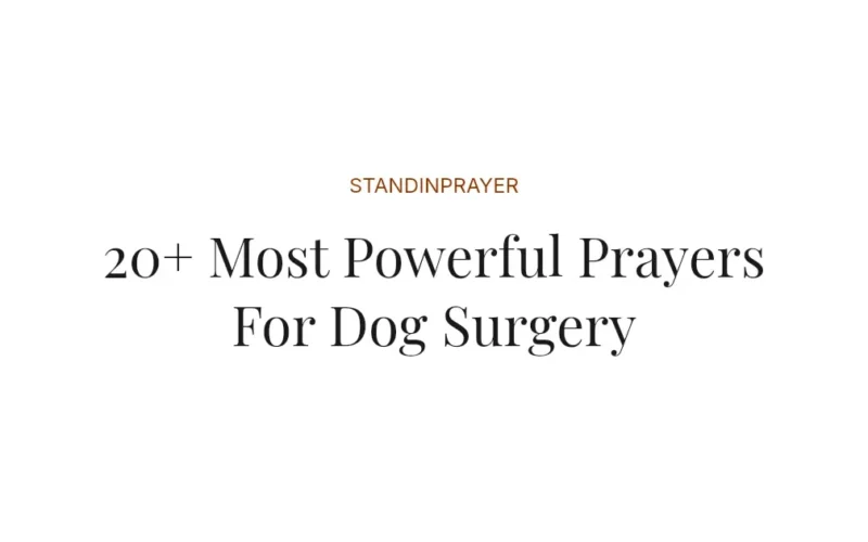 20+ Most Powerful Prayers For Dog Surgery