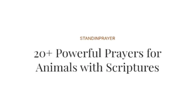 20+ Powerful Prayers for Animals with Scriptures
