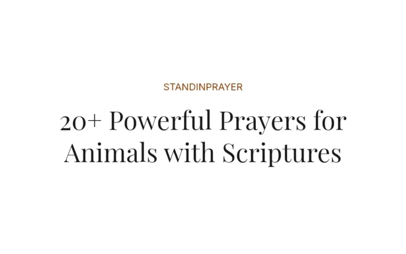 20+ Powerful Prayers for Animals with Scriptures